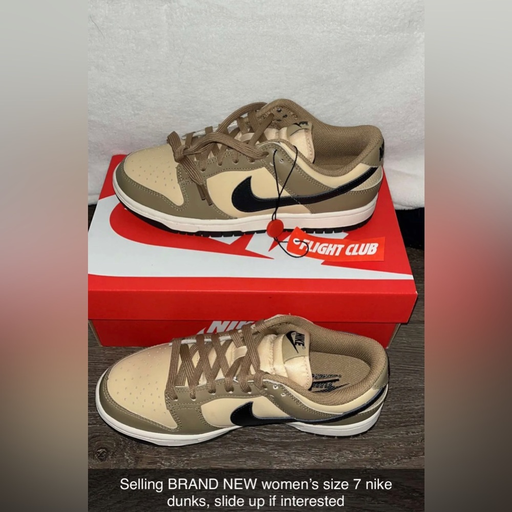 NWT Nike Dunks